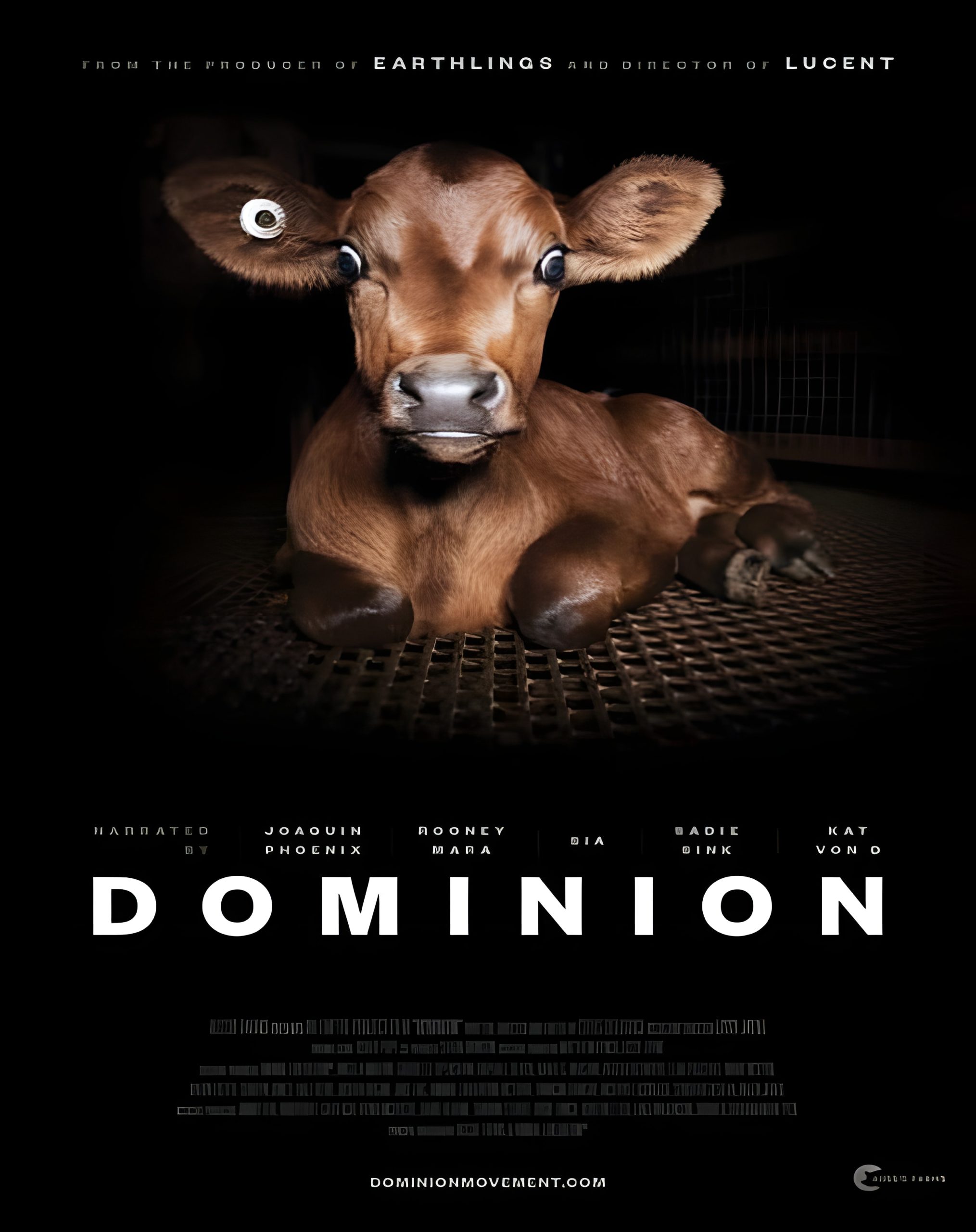 Lee más sobre el artículo DOMINION