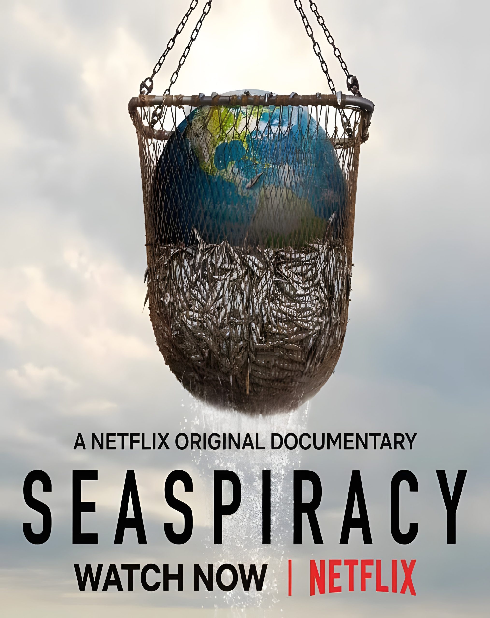 Lee más sobre el artículo Seaspiracy: La pesca insostenible