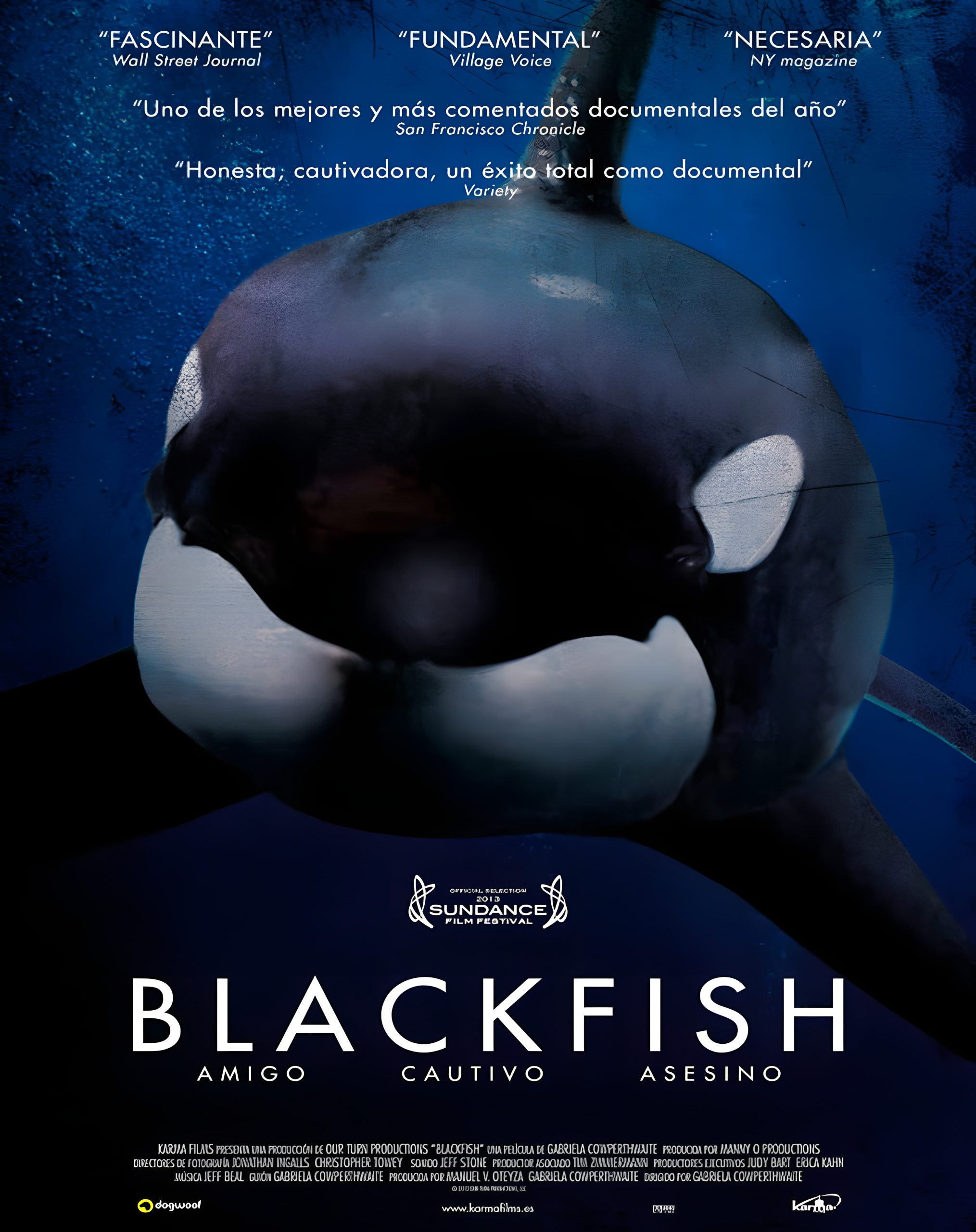 Lee más sobre el artículo BLACKFISH